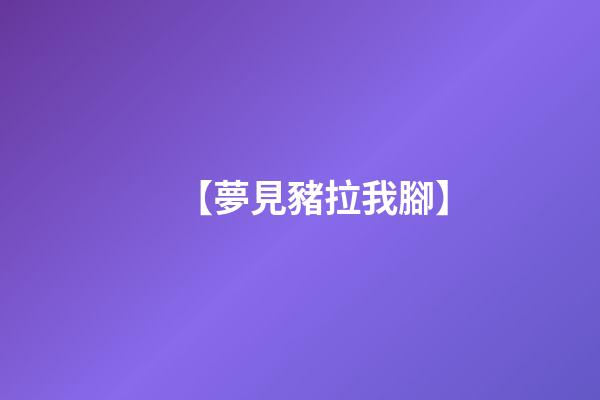 【夢見豬拉我腳】