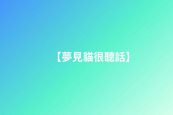 【夢見貓很聽話】