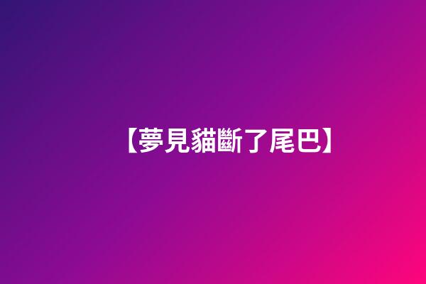 【夢見貓斷了尾巴】