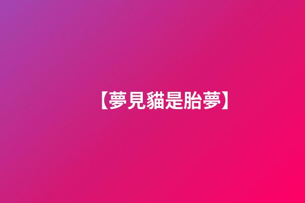 【夢見貓是胎夢】