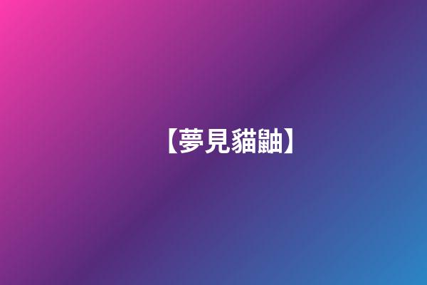 【夢見貓鼬】
