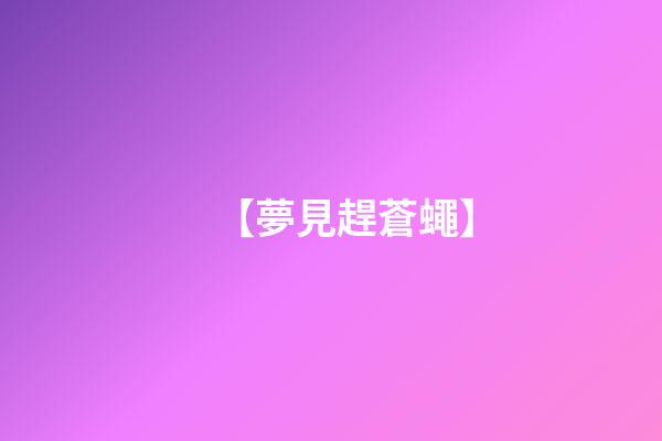 【夢見趕蒼蠅】