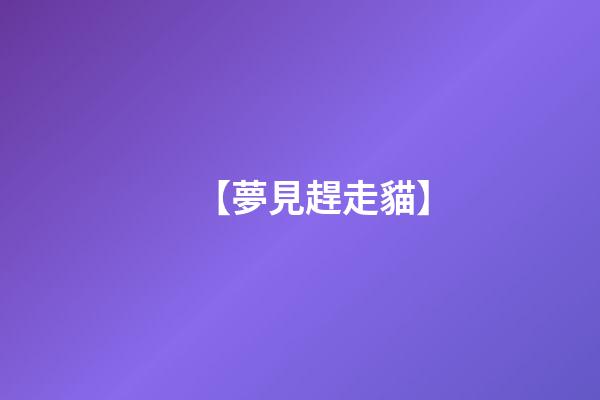 【夢見趕走貓】