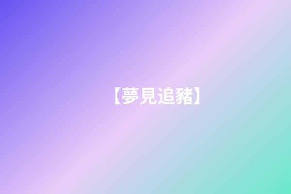 【夢見追豬】