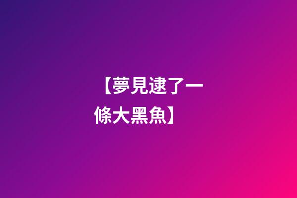 【夢見逮了一條大黑魚】
