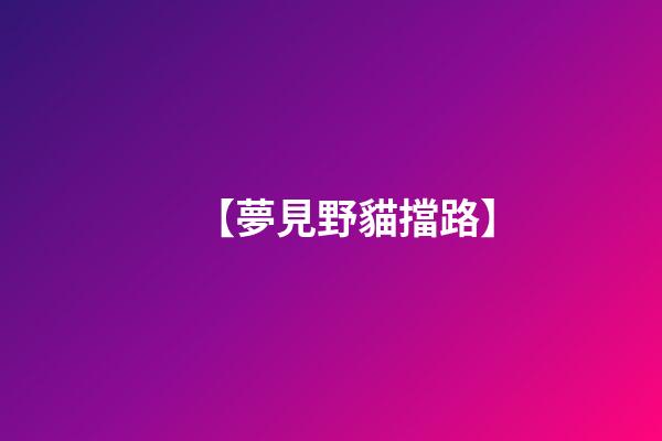 【夢見野貓擋路】