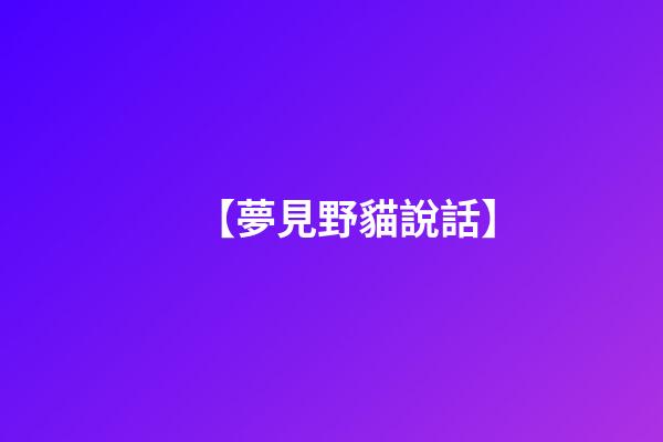 【夢見野貓說話】