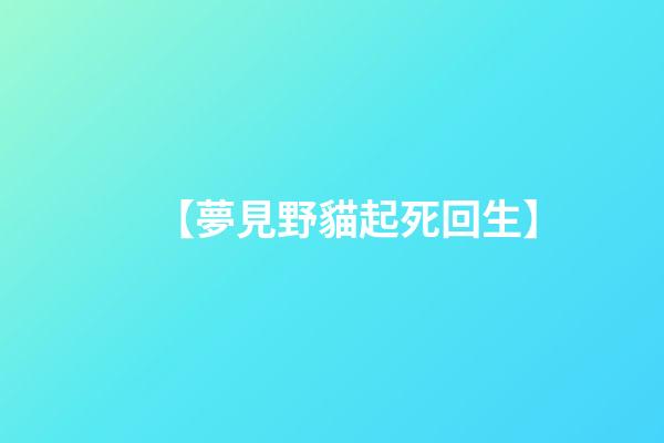 【夢見野貓起死回生】
