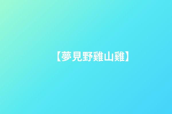 【夢見野雞山雞】