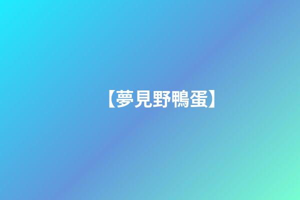 【夢見野鴨蛋】