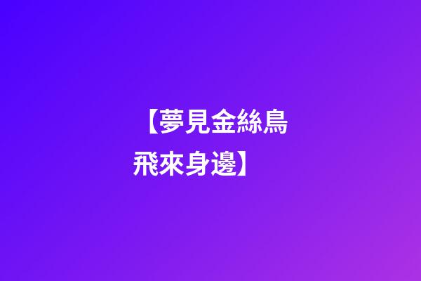 【夢見金絲鳥飛來身邊】