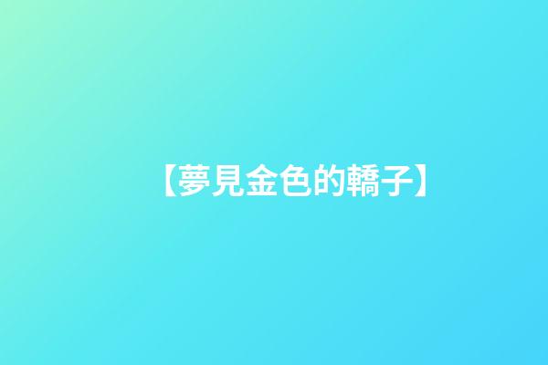 【夢見金色的轎子】