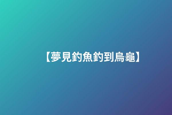 【夢見釣魚釣到烏龜】