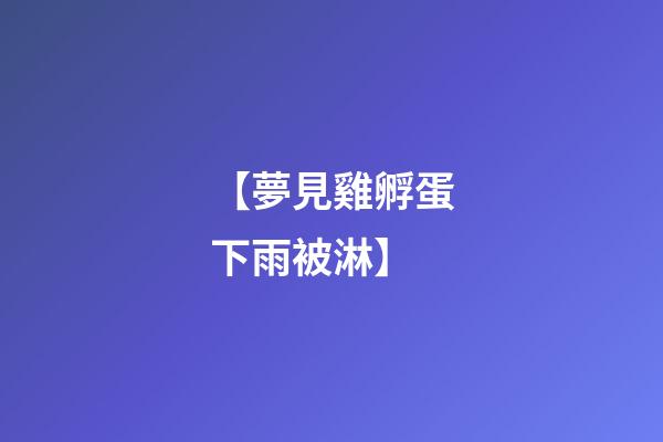 【夢見雞孵蛋下雨被淋】