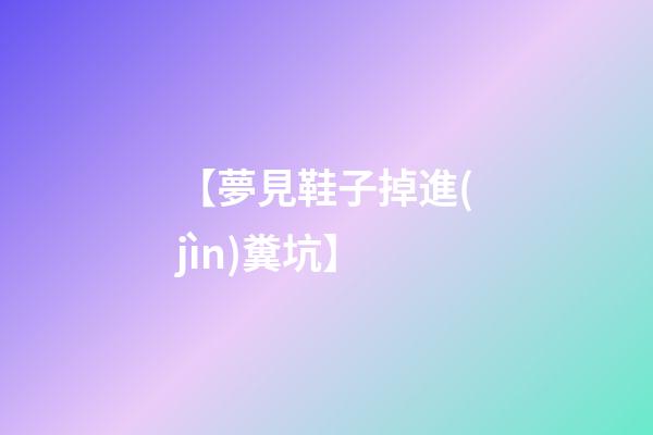 【夢見鞋子掉進(jìn)糞坑】