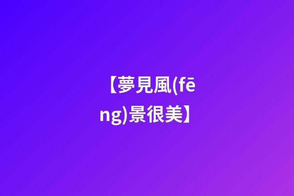 【夢見風(fēng)景很美】