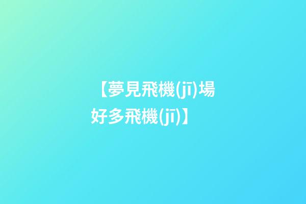 【夢見飛機(jī)場好多飛機(jī)】