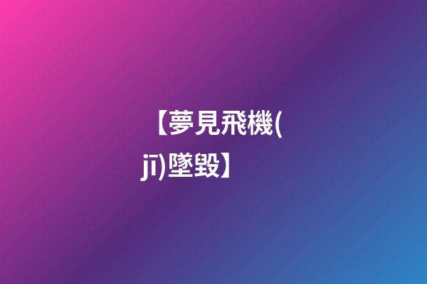【夢見飛機(jī)墜毀】