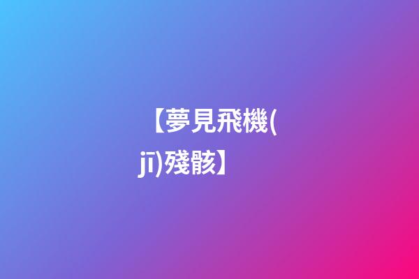 【夢見飛機(jī)殘骸】