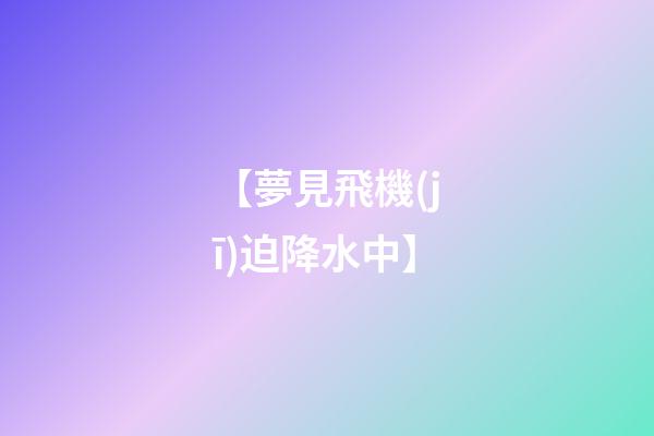 【夢見飛機(jī)迫降水中】