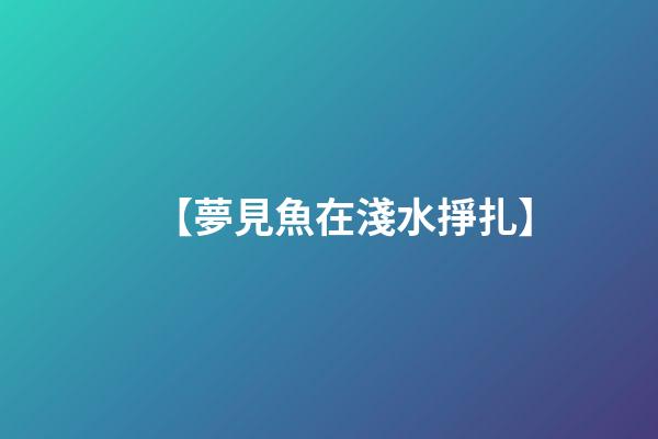 【夢見魚在淺水掙扎】