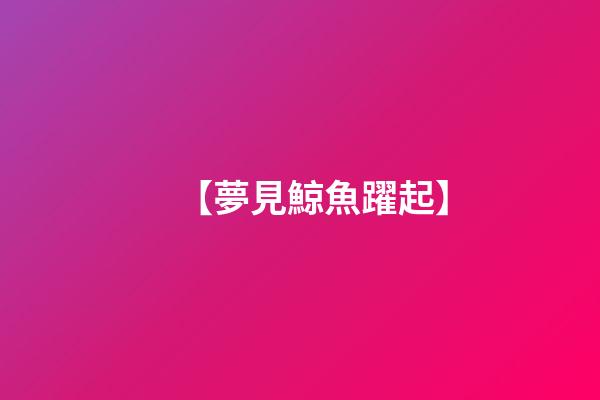 【夢見鯨魚躍起】