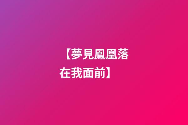 【夢見鳳凰落在我面前】