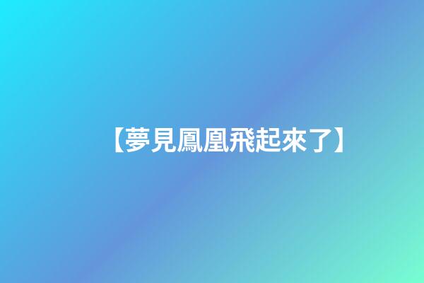 【夢見鳳凰飛起來了】