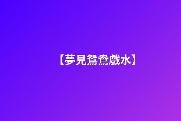 【夢見鴛鴦戲水】