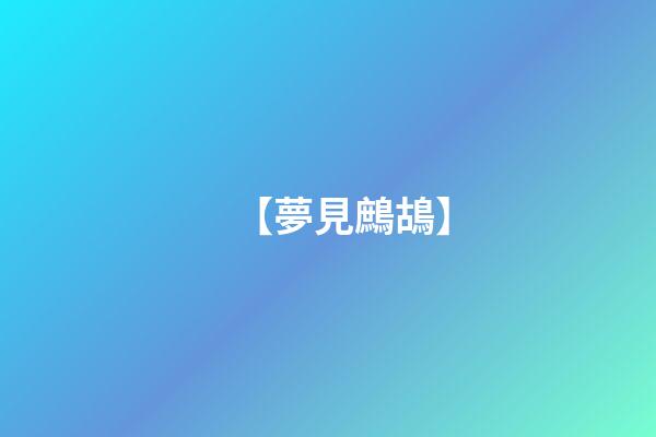 【夢見鷓鴣】