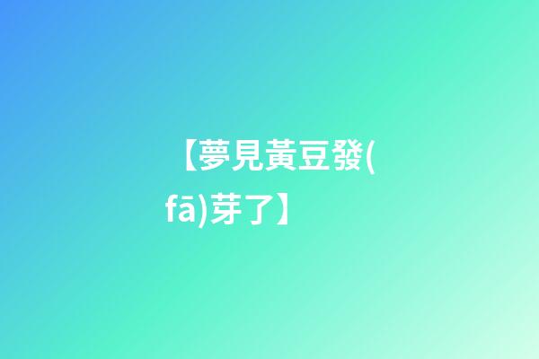 【夢見黃豆發(fā)芽了】