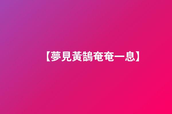 【夢見黃鵠奄奄一息】