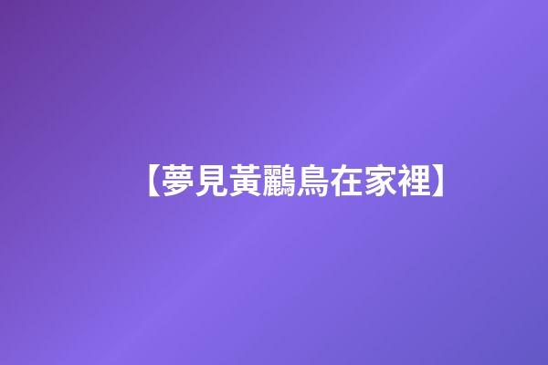 【夢見黃鸝鳥在家裡】