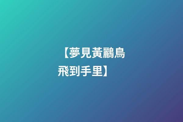 【夢見黃鸝鳥飛到手里】