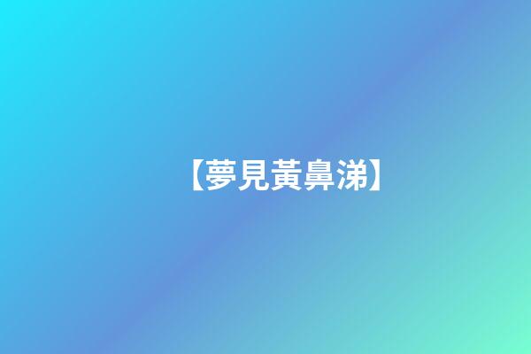 【夢見黃鼻涕】