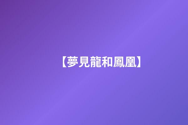 【夢見龍和鳳凰】