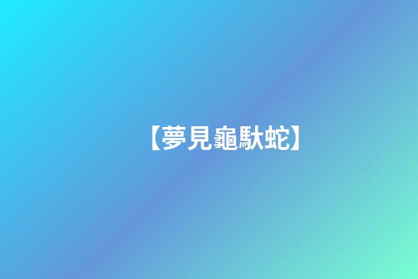 【夢見龜馱蛇】
