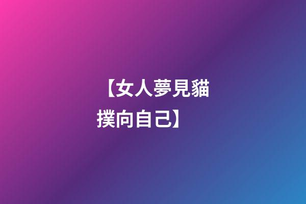 【女人夢見貓撲向自己】