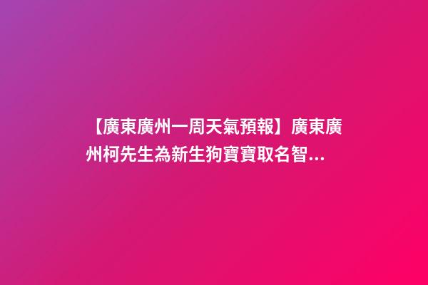 【廣東廣州一周天氣預報】廣東廣州柯先生為新生狗寶寶取名智慧型套餐-第1張-公司起名-玄機派