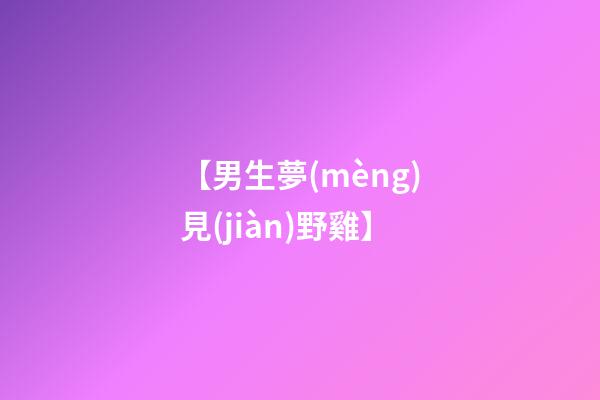 【男生夢(mèng)見(jiàn)野雞】