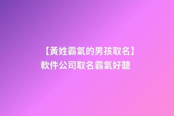 【黃姓霸氣的男孩取名】軟件公司取名霸氣好聽-第1張-公司起名-玄機(jī)派