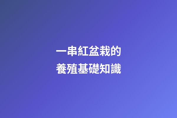 一串紅盆栽的養殖基礎知識