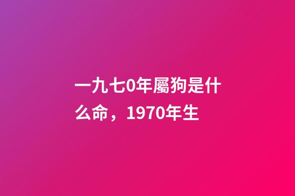 一九七0年屬狗是什么命，1970年生-第1張-觀點-玄機派