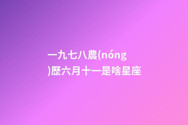 一九七八農(nóng)歷六月十一是啥星座-第1張-星座運勢-玄機派