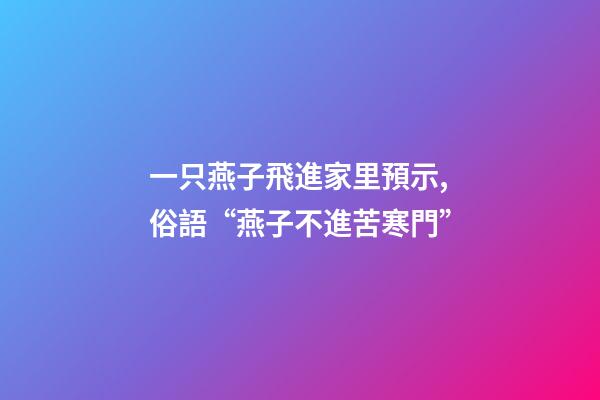 一只燕子飛進家里預示,俗語“燕子不進苦寒門”-第1張-觀點-玄機派