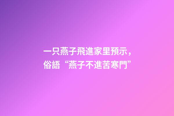 一只燕子飛進家里預示，俗語“燕子不進苦寒門”-第1張-觀點-玄機派