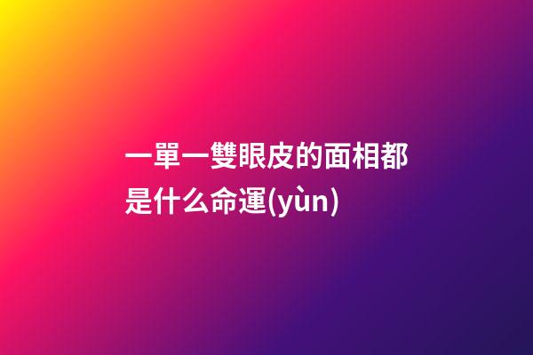 一單一雙眼皮的面相都是什么命運(yùn)