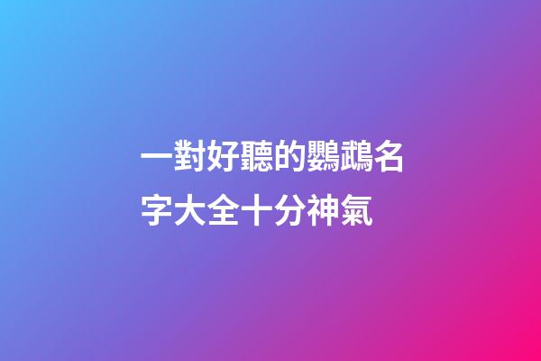 一對好聽的鸚鵡名字大全十分神氣