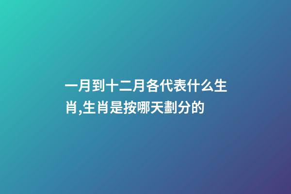 一月到十二月各代表什么生肖,生肖是按哪天劃分的-第1張-觀點(diǎn)-玄機(jī)派