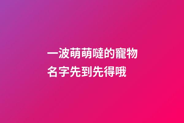 一波萌萌噠的寵物名字先到先得哦